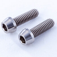 RT-C258【SPMチタン製M2.5×8ｍｍキャップスクリュー（2本入）】￥650（税別）